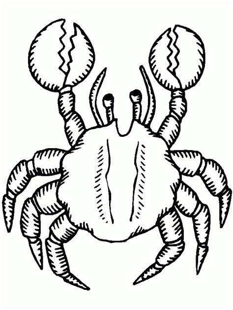 printable crab coloring pages  kids