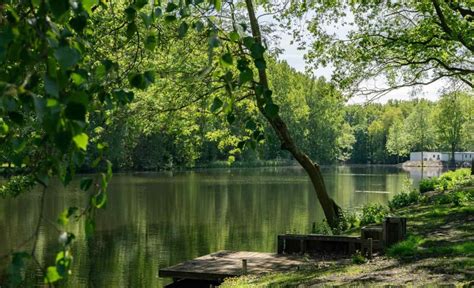 vakantiepark het amsterdamse bos heerlijkehuisjesnl