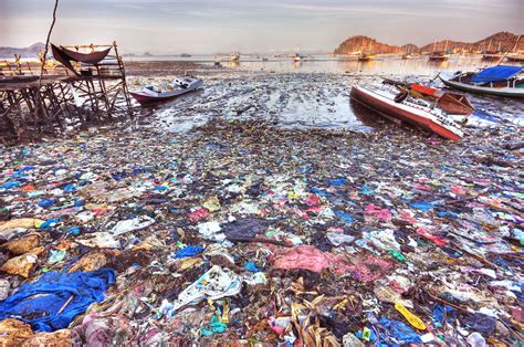 ocean conservancy report finds plastics  ocean  crisis level fortune