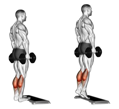 dumbbell standing calf raise exercise guide and videos fitness volt