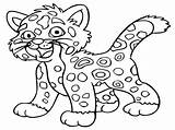 Coloring Pages Baby Printable Animals Kids Animal Library Clipart sketch template