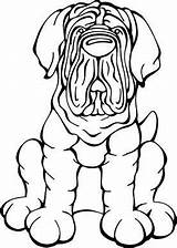 Pages Mastiff Neapolitan sketch template