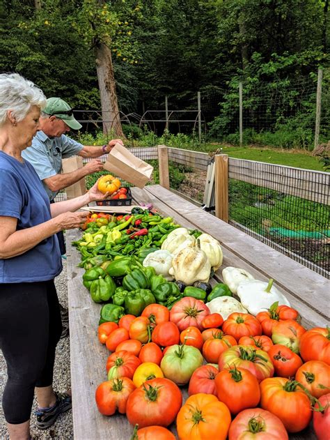 harvesting  fruit   labor tyler arboretum