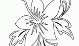 Tropical Coloring Pages Flower Flowers Popular Getdrawings sketch template