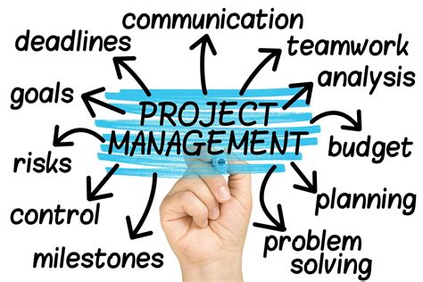 good project manager skywell software