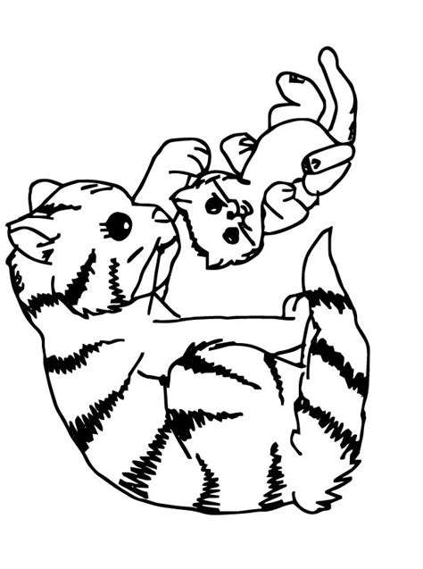 kids  funcom coloring page cats  dogs cats  dogs