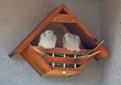 awesome dove bird house plans    images bird house plans bird house kits bird house