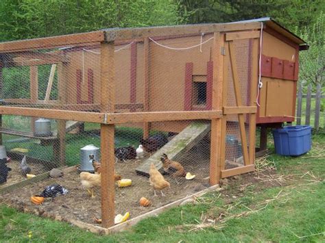 pallet coop duplex backyard chickens