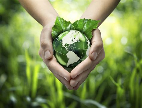 sustainability    starting   environmental field