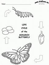 Monarch Grade Cycles Lifecycle Stages Caterpillar Metamorphosis 99worksheets Poem Sequencing Montero Relacionadas Cuento Zapisano Idiomas Allpin S10 sketch template