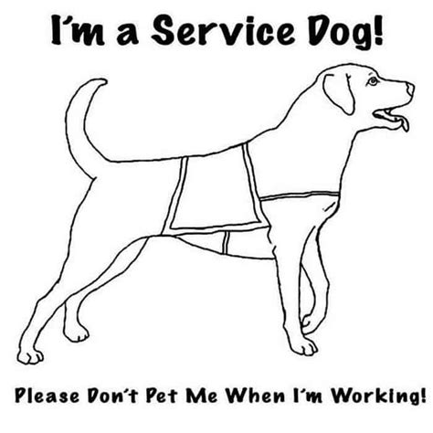 service dog coloring pages service dogs dog coloring page people