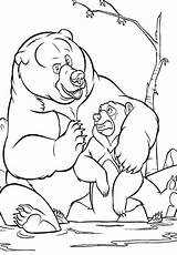 Bear Little Coloring Pages Getdrawings sketch template