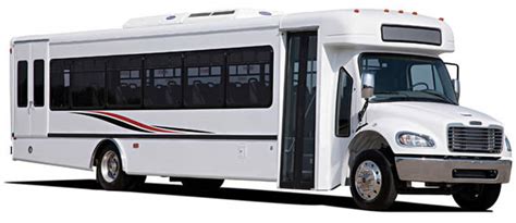 stallion bus  transit company