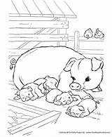 Coloring Pages Animal Farm Pig Kids Pigs Printable Animals Baby Sheets Print Color Adult Sheet Honkingdonkey Napping Cute Colouring Books sketch template