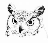 Horned Faces Owls Screech sketch template