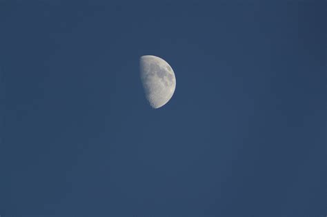 moon  photo  freeimages