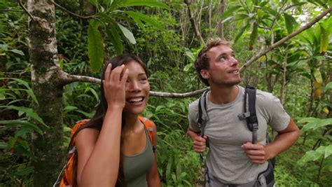 stock video of hikers walking in rain forest jungle 2864935 shutterstock