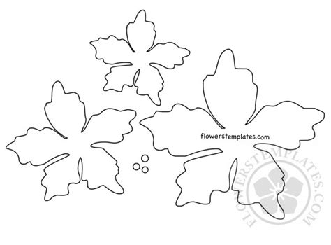 poinsettia template printable flowers templates
