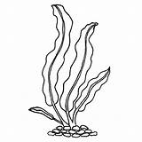 Kelp Drawing Drawings Stamp Rubber Getdrawings Paintingvalley sketch template