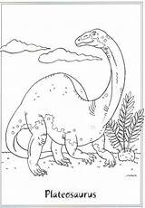 Coloring Plateosaurus Pages Dinosaur Kids Scegli Bacheca Una Da sketch template