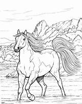 Coloring Horse Pages Adults Printable Cavalos Horses Realistic Adult Kids Animal Colouring Color Sheets Wood Traços Bestcoloringpagesforkids Print Burning Patterns sketch template