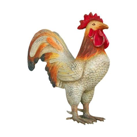 rooster  standing   hind legs   red combs   feathers
