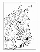 Horse Maze Activities Kids Camp Crafts Printable Coloring Horses Mazes Head Breyerhorses Pages Print Derby Search Fun Games Birthday Kentucky sketch template