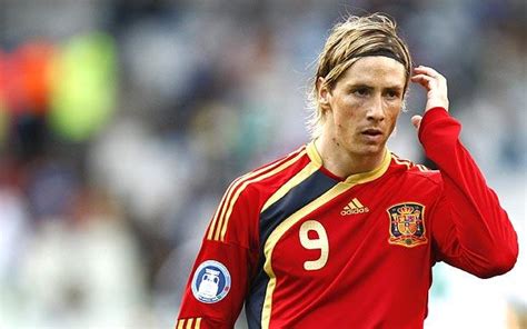 fernando torres spain star player  world cup   pictures telegraph