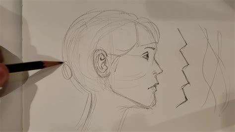 learning   draw side view face youtube