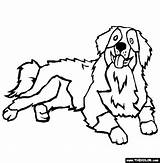 Dog Coloring Mountain Bernese Pages Drawing Dogs Color Kids Pets Hond Puppies Animals Thecolor Clipart Clipartpanda Printable Ausmalbilder Animal Print sketch template