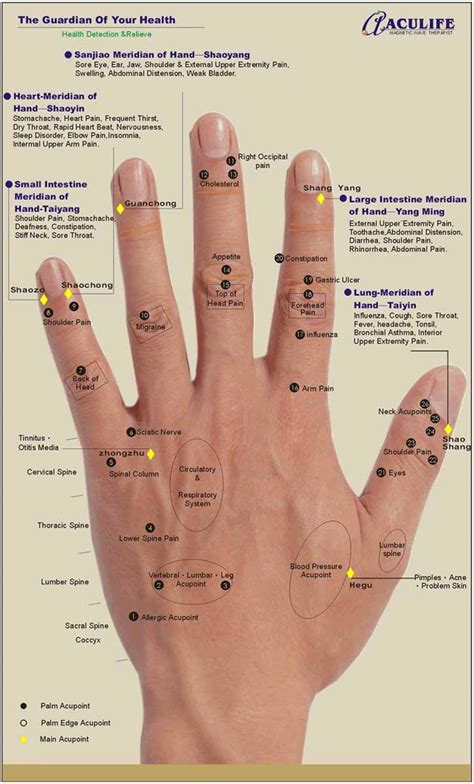 images  hand reflexology chart  pinterest hand massage