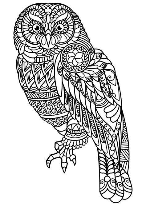 owl  complex  beautiful patterns   gallery owls owl