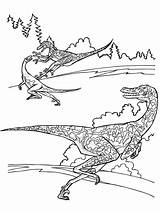 Velociraptor Raptor Jurassic Dinosaurs Dinossauro Colorir Dinosaurier Dinosaurios Dinosaure Kleurplaat Desenhos Dinosaurio Supercoloring Stampare Dinosauri Ausdrucken Disegnare Malvorlagen sketch template