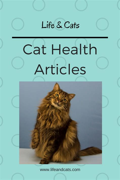 pin on cat health