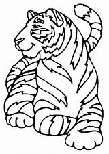 Tigre Hugolescargot Ffee Tigres Coloriages Savane Zoo Félins sketch template