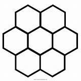Colorare Cera Cella Honeycomb Comb Hexagon Hexagonal Cells Alvarado Pages Iconfinder sketch template
