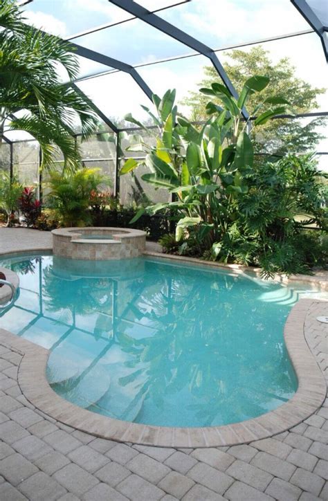 beautiful plunge pool ideas home stratosphere