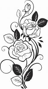 Rose Flower Coloring Vector Pages 3axis Vine Roses Vines Drawing Color Pattern Choose Board Floral Draw sketch template