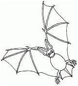 Coloring Bat Pages Color Animal Upside Down Printable Bats Kids Sleep Chiroptera Sheets Drawings sketch template