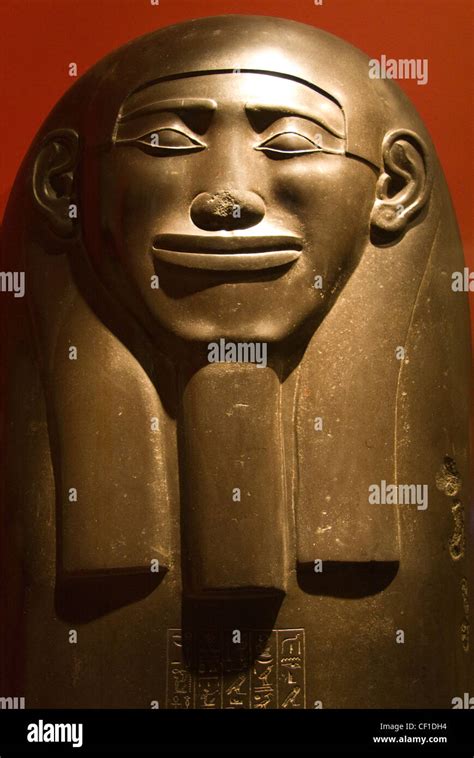 27th dynasty egyptian sarcophagus lid on display in the ashmolean