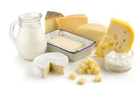 full fat dairy healthier   fat dairy eating high fat linked