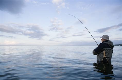 angeln  daenemark fischen unter freunden rute rolle dein