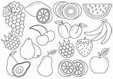Fruits Frutta Fructe Colorat Disegnare Planse Copiare Despre sketch template