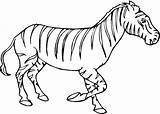 Zebra Coloring Pages Zebras Baby Kids Printable Color Super Clipart Online Drawing Supercoloring Cute Gif Print Silhouettes sketch template