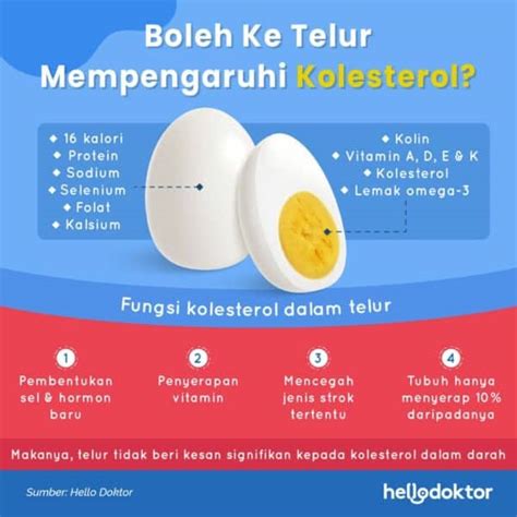 Cara Rebus Telur Lakukan 2 Kaedah Ini Untuk Telur Rebus Yang Perfect
