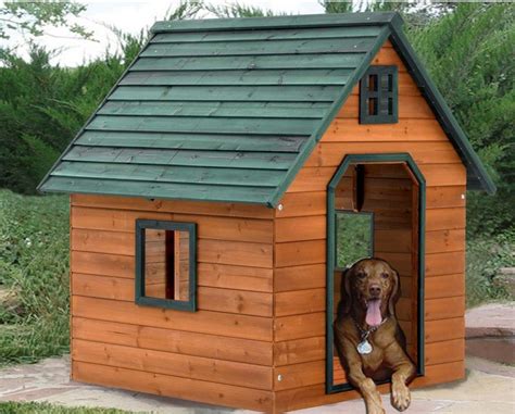 insulated dog house plans google search pinteres