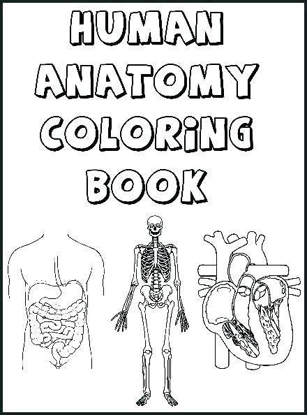 body parts coloring pages  preschool  getcoloringscom