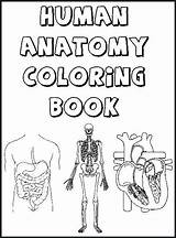 Body Coloring Parts Pages Preschool Human Kids Getcolorings Printable Color sketch template