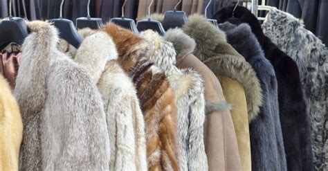 synthetic fake fur youre wearing    real     animal rescue