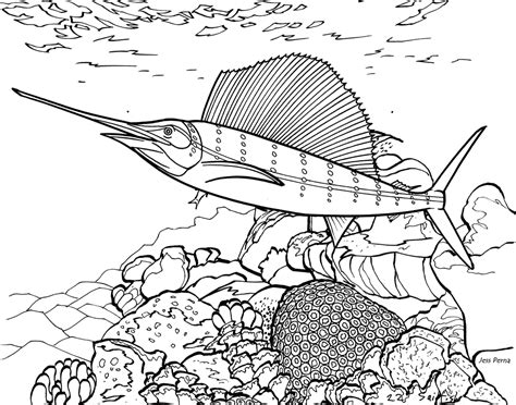 real fish coloring pages coloring home